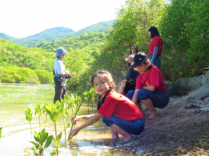 Các em học sinh tham gia trồng rừng ngập mặn